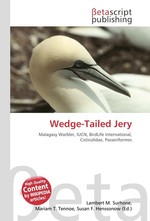 Wedge-Tailed Jery