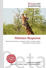 Flehmen Response