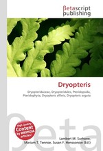 Dryopteris