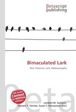 Bimaculated Lark