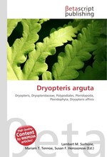 Dryopteris arguta