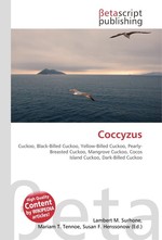 Coccyzus