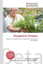 Dryopteris hirtipes