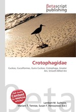 Crotophagidae