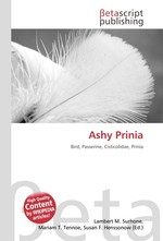 Ashy Prinia