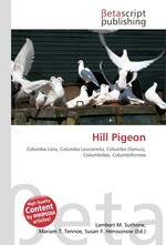 Hill Pigeon