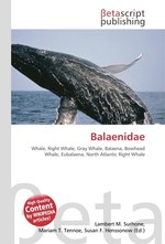 Balaenidae