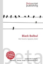 Black Bulbul