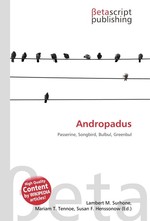 Andropadus