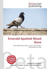 Emerald-Spotted Wood Dove