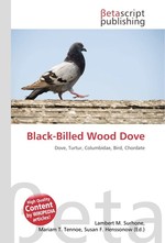 Black-Billed Wood Dove