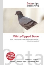 White-Tipped Dove