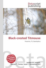 Black-crested Titmouse