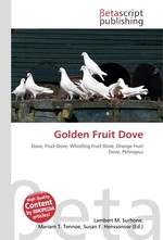 Golden Fruit Dove