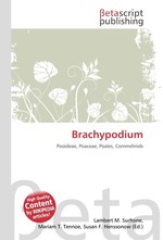 Brachypodium