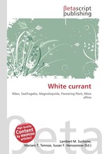 White currant