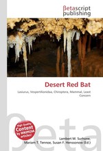 Desert Red Bat