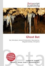 Ghost Bat