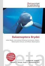 Balaenoptera Brydei