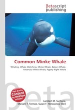 Common Minke Whale