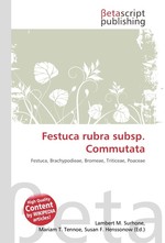 Festuca rubra subsp. Commutata