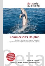 Commersons Dolphin