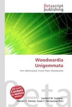 Woodwardia Unigemmata