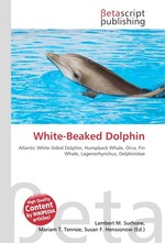 White-Beaked Dolphin