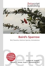 Bairds Sparrow