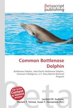 Common Bottlenose Dolphin