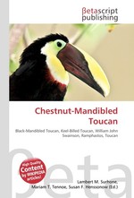 Chestnut-Mandibled Toucan