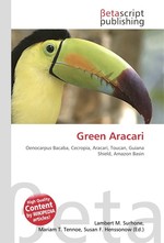 Green Aracari