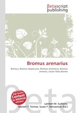 Bromus arenarius