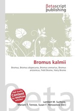 Bromus kalmii