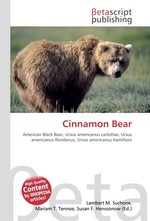 Cinnamon Bear