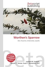 Worthens Sparrow