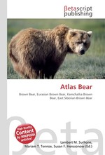 Atlas Bear