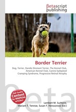 Border Terrier