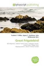 Great Frigatebird