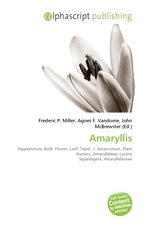 Amaryllis