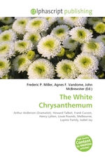 The White Chrysanthemum