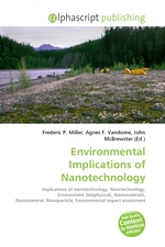 Environmental Implications of Nanotechnology