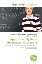 Approximately finite dimensional C*-algebra