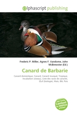 Canard de Barbarie