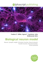 Biological neuron model