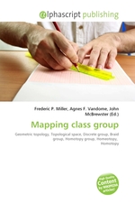 Mapping class group