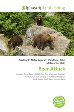 Bear Attack