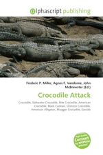 Crocodile Attack