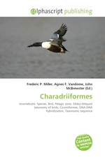 Charadriiformes