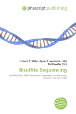 Bisulfite Sequencing